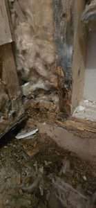 Water Damaged Wood