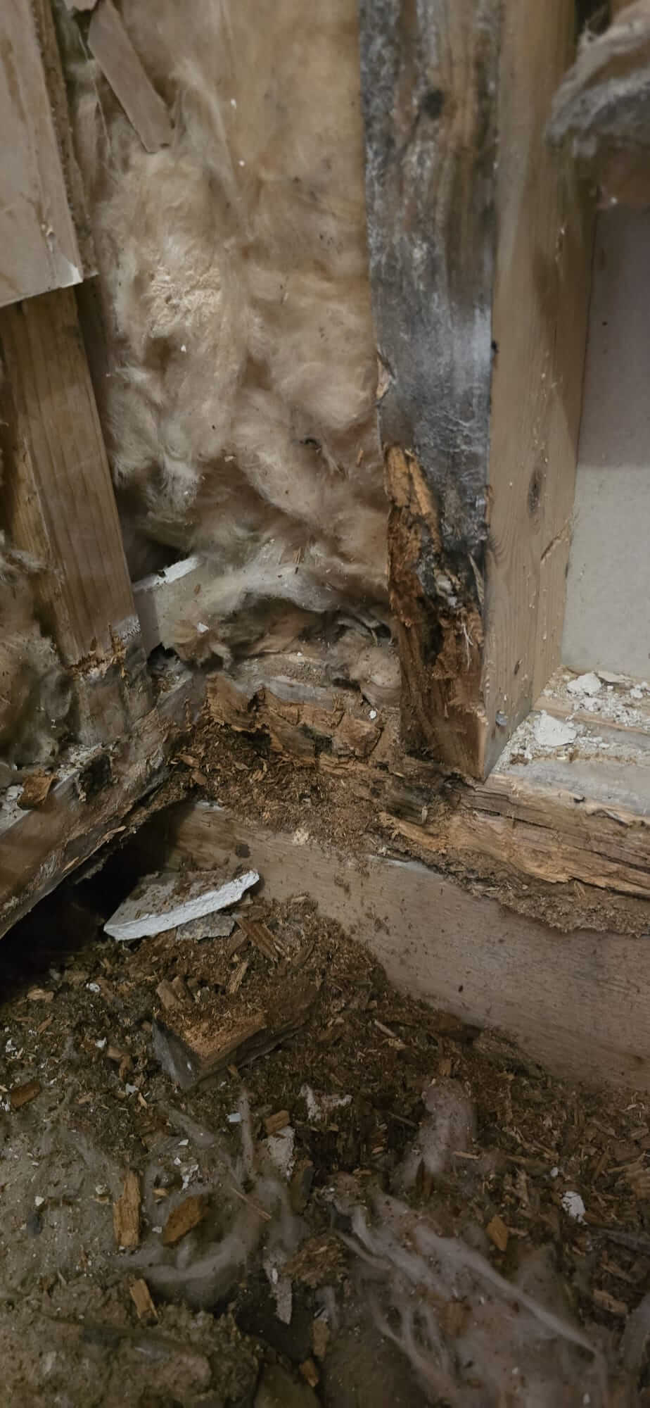 Water Damaged Wood